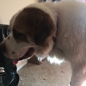 Meet your Posher, Ted